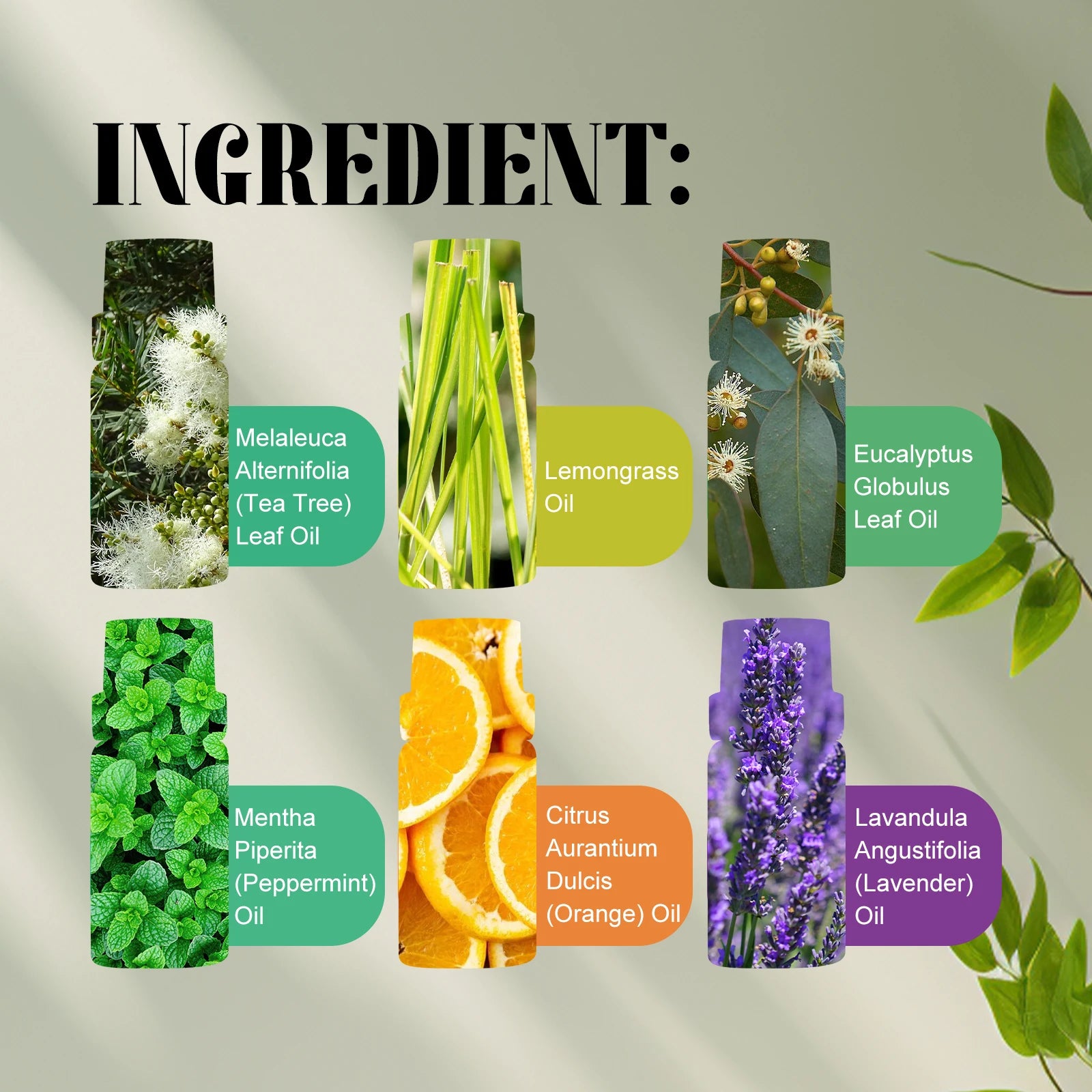 Plant Essential Oil Gift Box Set